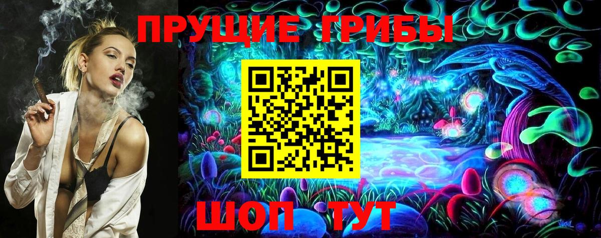 Псилоцибиновые грибы Psilocybine cubensis Карталы